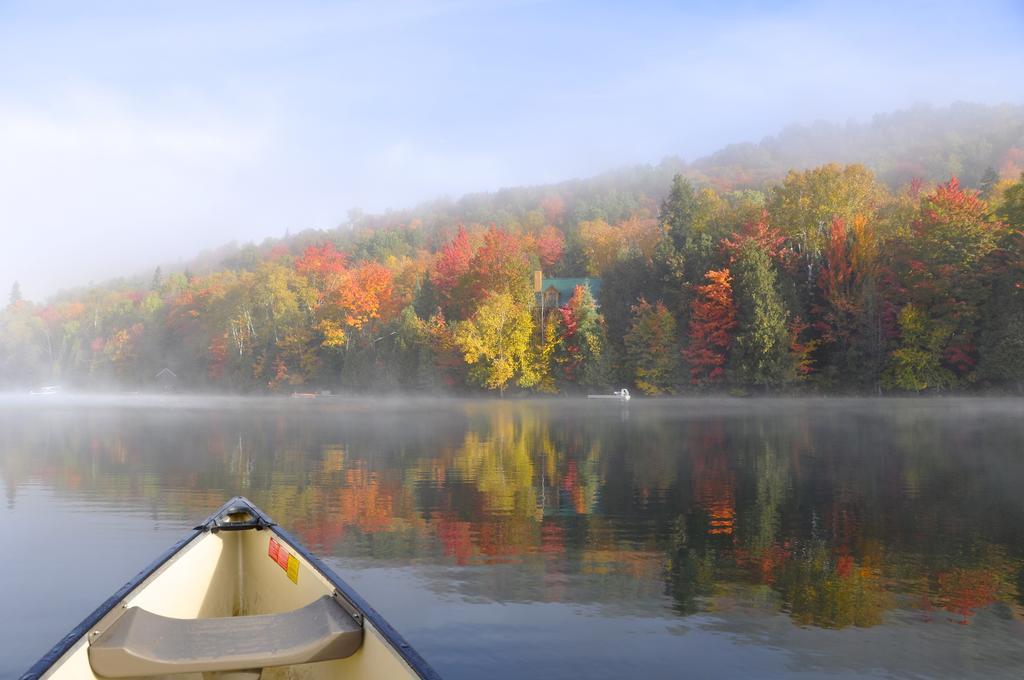 Le Boise Du Lac Mont-Tremblant Exteriör bild