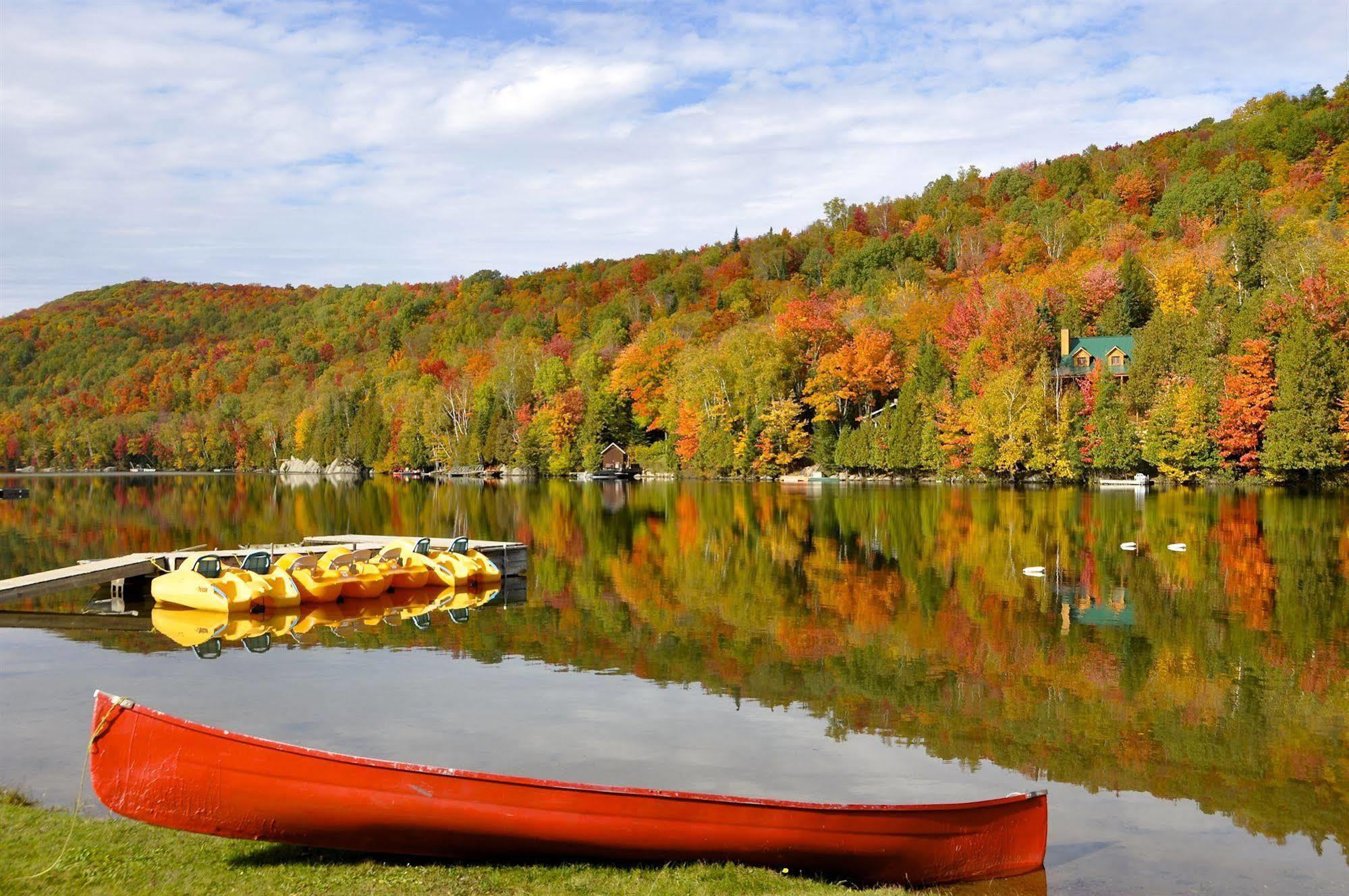 Le Boise Du Lac Mont-Tremblant Exteriör bild