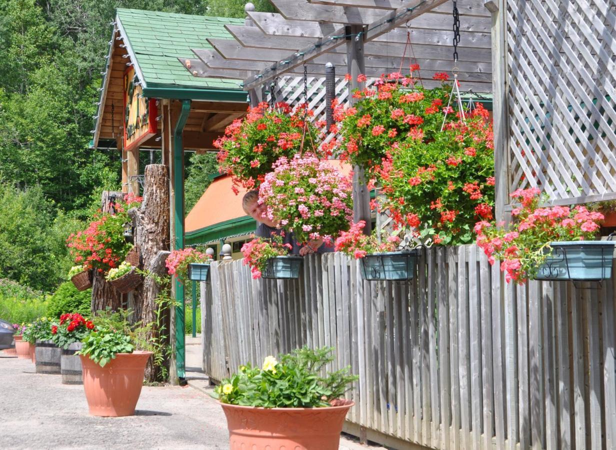 Le Boise Du Lac Mont-Tremblant Exteriör bild